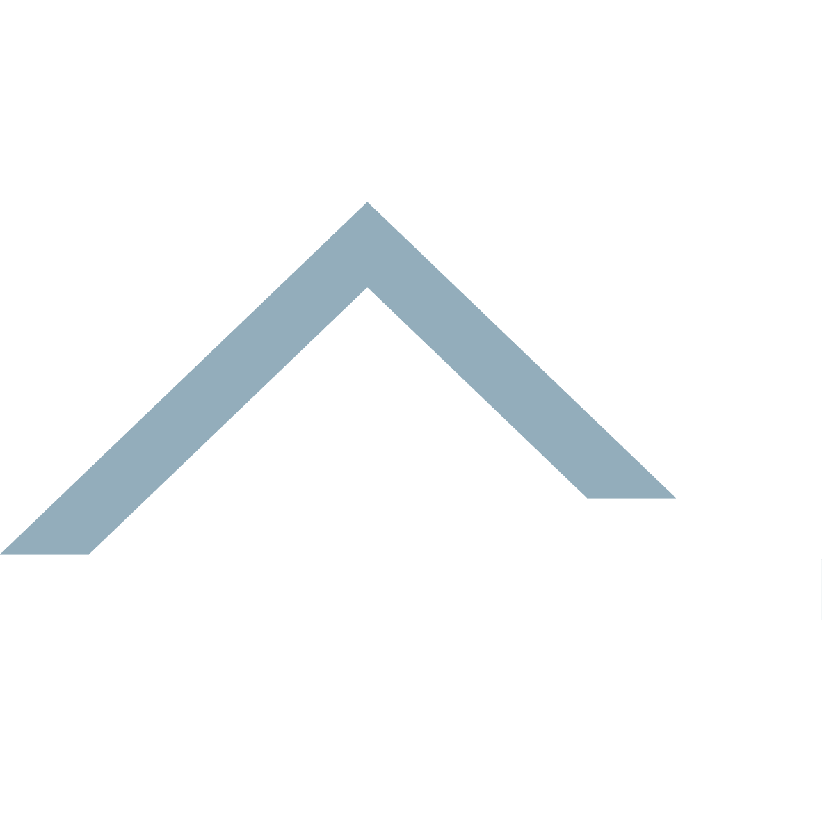Léman Géo Expertise favicon blanc